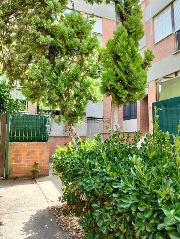 appartamento in vendita a Civitavecchia