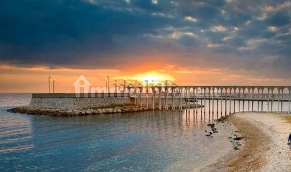 negozio in vendita a Civitavecchia