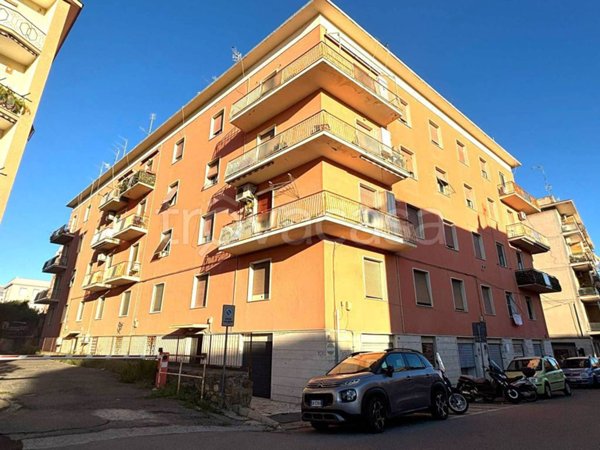 immagine annuncio 0 di 15