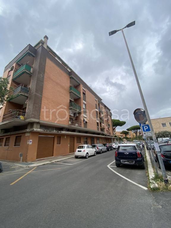 negozio in vendita a Civitavecchia