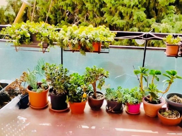 appartamento in vendita a Civitavecchia