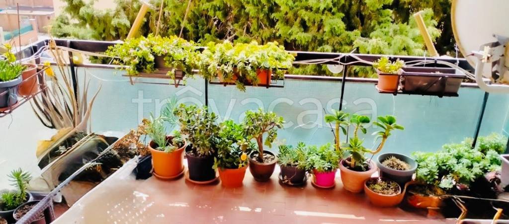 appartamento in vendita a Civitavecchia