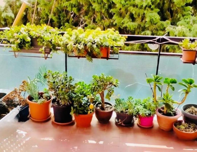 appartamento in vendita a Civitavecchia