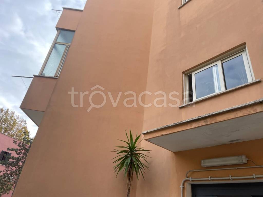 appartamento in vendita a Civitavecchia