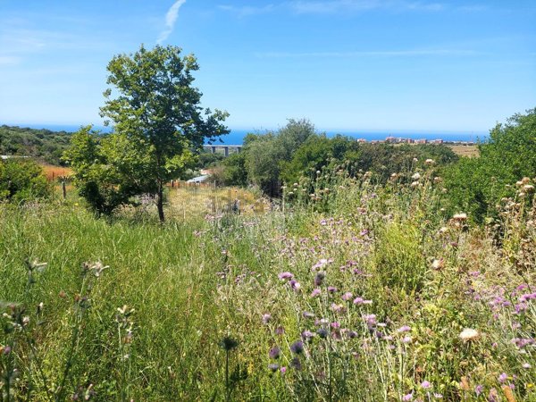 terreno agricolo in vendita a Civitavecchia
