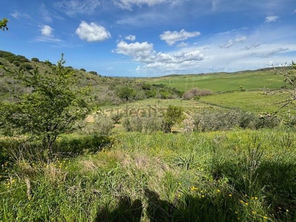 terreno agricolo in vendita a Civitavecchia