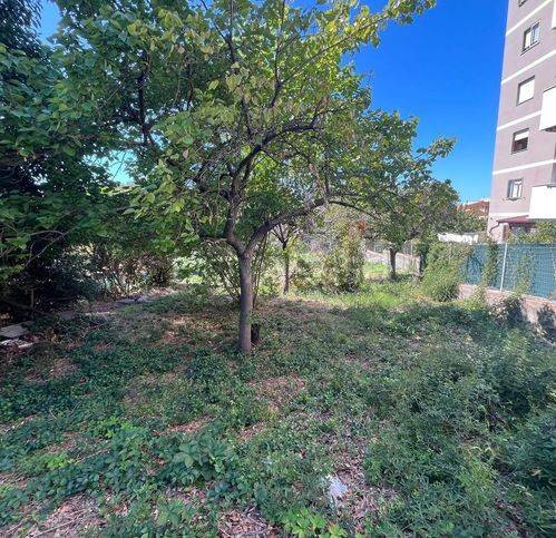 terreno agricolo in vendita a Civitavecchia