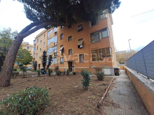 appartamento in vendita a Civitavecchia