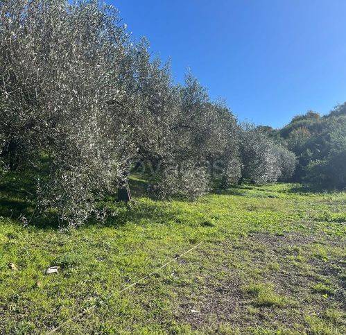 terreno agricolo in vendita a Civitavecchia