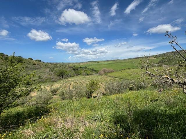 terreno agricolo in vendita a Civitavecchia