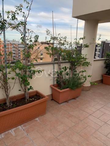 appartamento in vendita a Civitavecchia