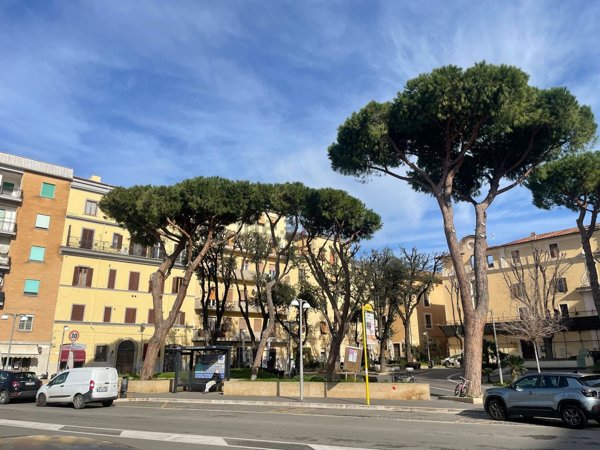 appartamento in vendita a Civitavecchia