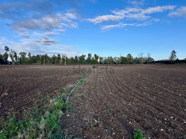 terreno agricolo in vendita a Civitavecchia