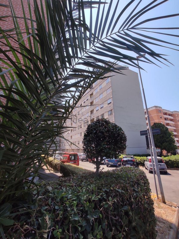 appartamento in vendita a Civitavecchia