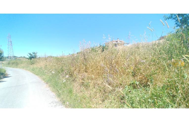 terreno agricolo in vendita a Civitavecchia