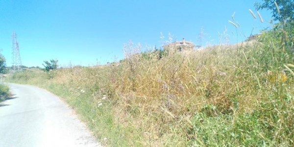 terreno agricolo in vendita a Civitavecchia