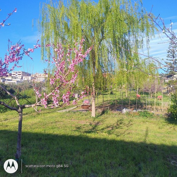 appartamento in vendita a Civitavecchia