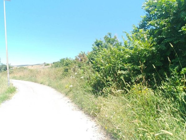 terreno agricolo in vendita a Civitavecchia
