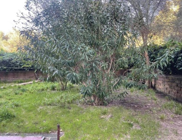 appartamento in vendita a Civitavecchia