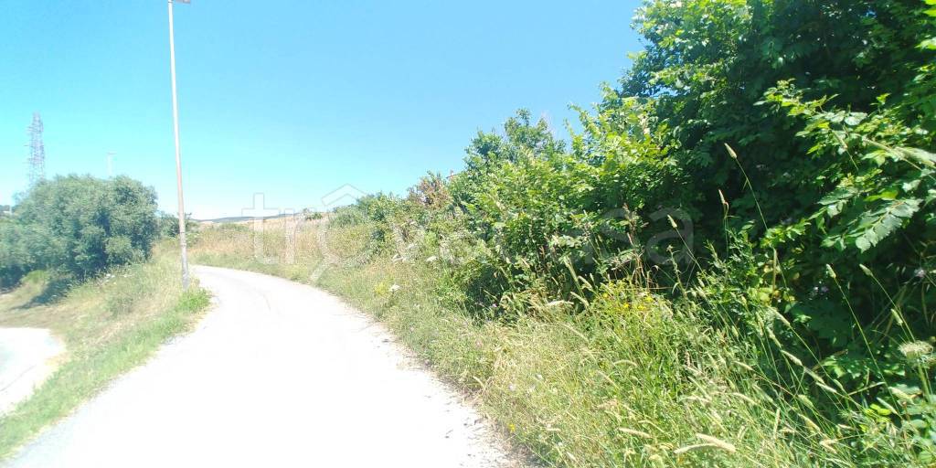 terreno agricolo in vendita a Civitavecchia