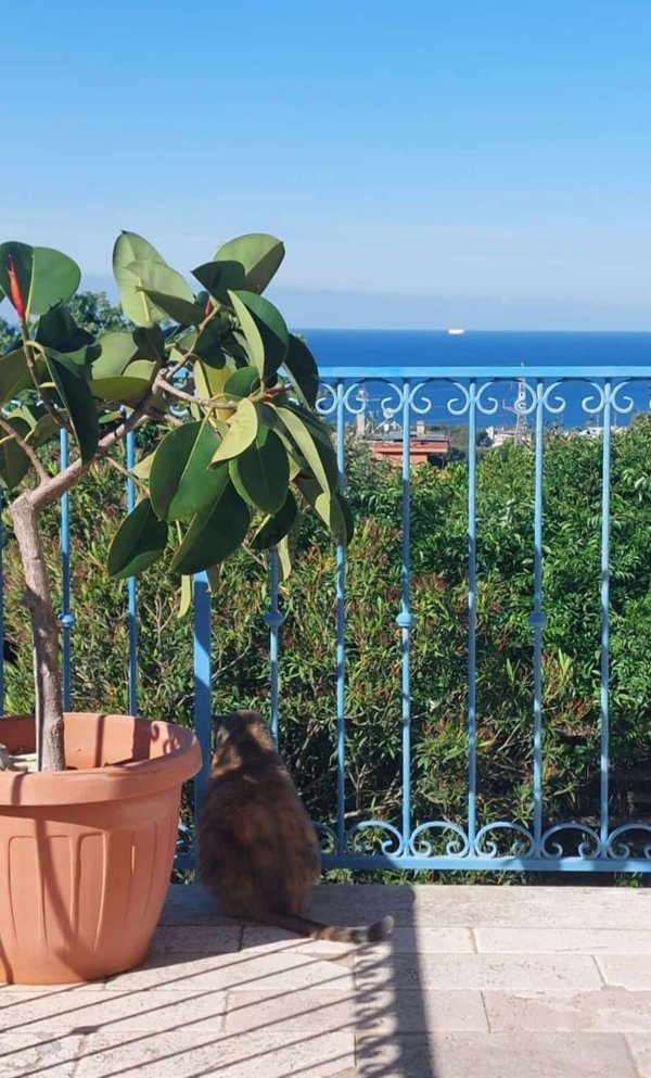 casa indipendente in vendita a Civitavecchia