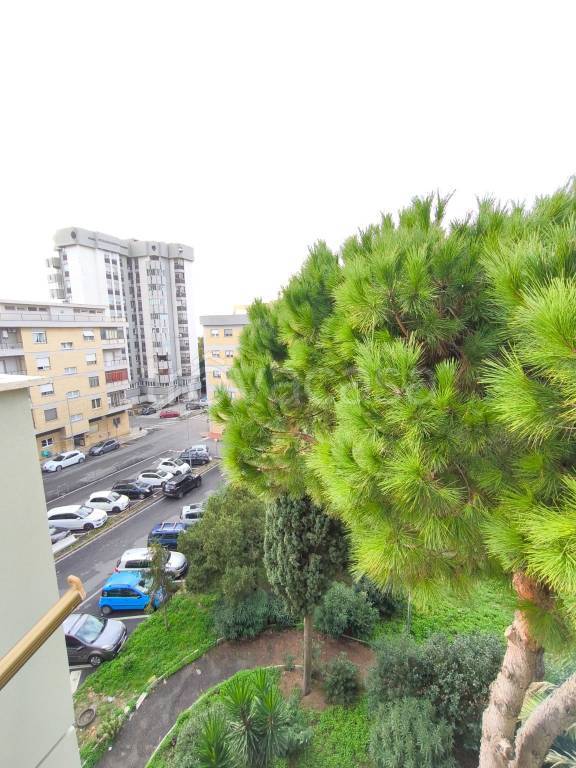 appartamento in vendita a Civitavecchia