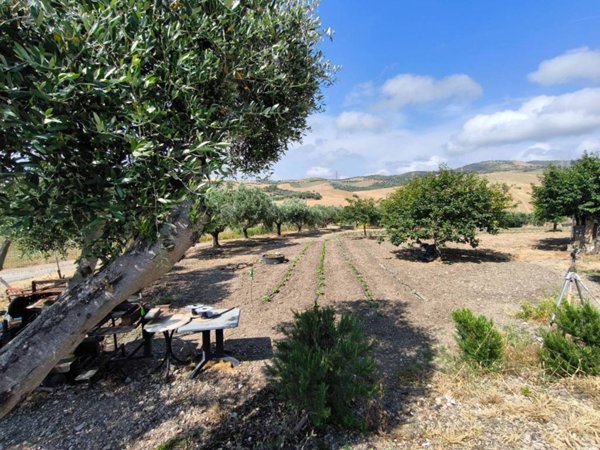 casa indipendente in vendita a Civitavecchia