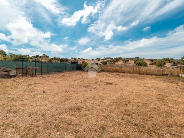 terreno agricolo in vendita a Civitavecchia