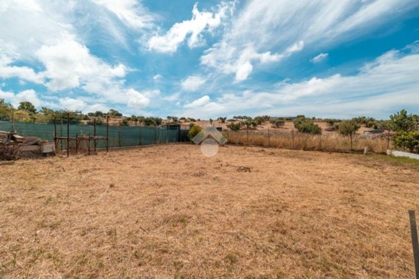 terreno agricolo in vendita a Civitavecchia