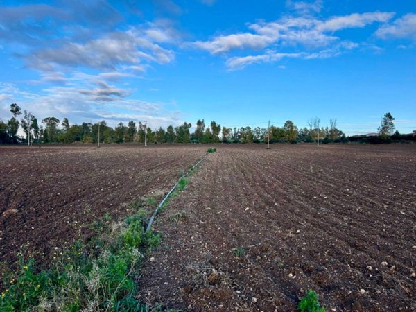 terreno agricolo in vendita a Civitavecchia in zona Aurelia