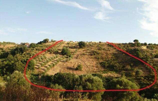 terreno agricolo in vendita a Civitavecchia