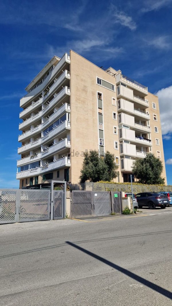 box auto in vendita a Civitavecchia
