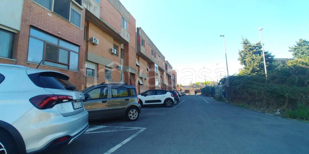 immagine annuncio 0 di 15