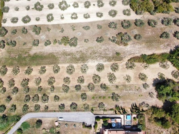 terreno agricolo in vendita a Civitella San Paolo