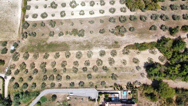 terreno agricolo in vendita a Civitella San Paolo