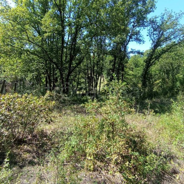 terreno edificabile in vendita a Civitella San Paolo