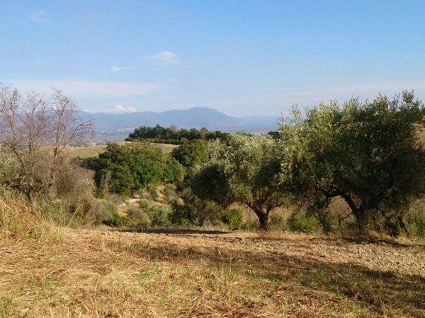 terreno agricolo in vendita a Civitella San Paolo