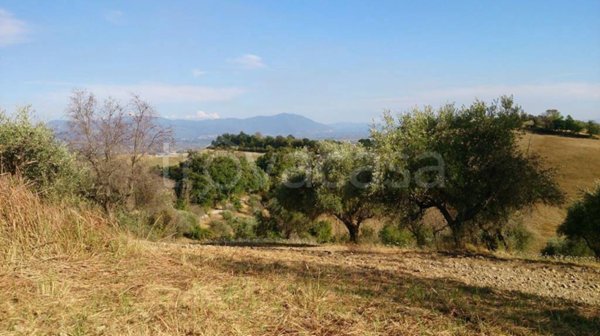 terreno agricolo in vendita a Civitella San Paolo