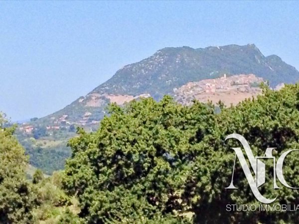 casa indipendente in vendita a Civitella San Paolo