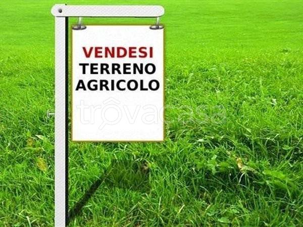 terreno agricolo in vendita a Colleferro