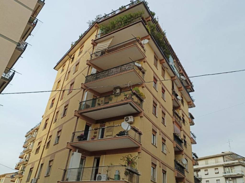 appartamento in vendita a Colleferro