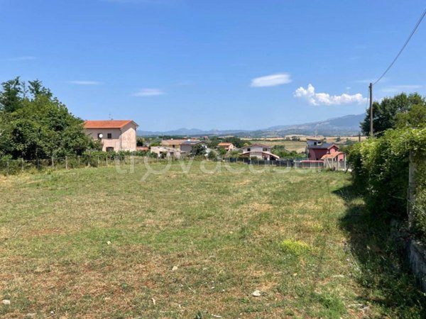 terreno agricolo in vendita a Colleferro