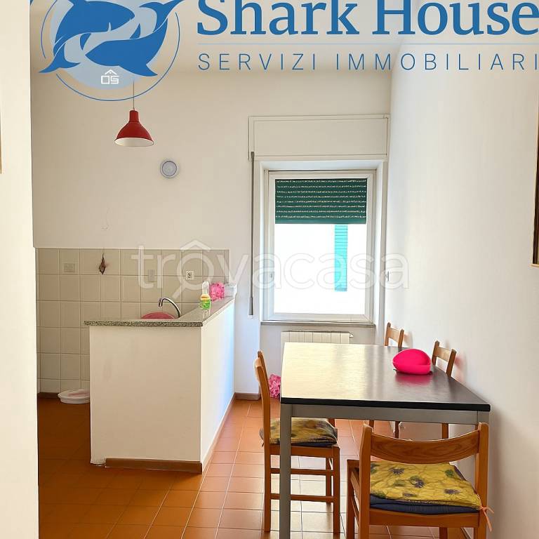 appartamento in vendita a Colleferro