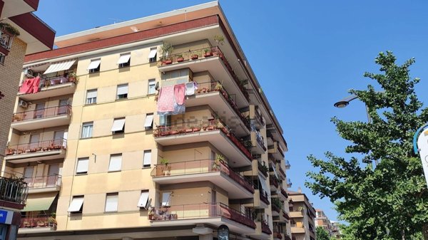 appartamento in vendita a Colleferro