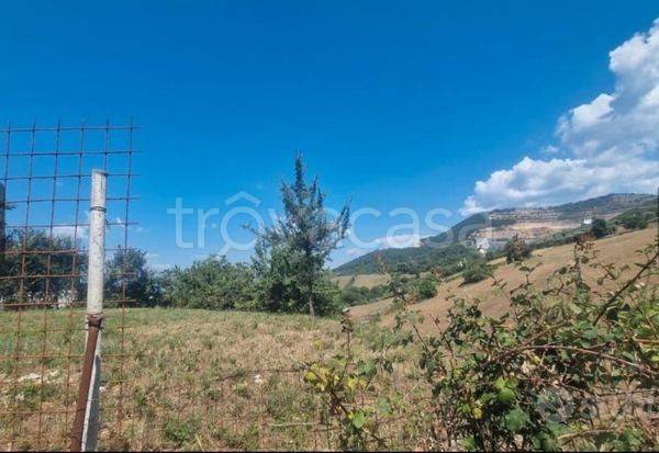 terreno agricolo in vendita a Colleferro