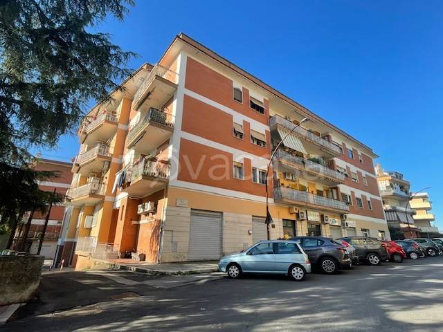 appartamento in vendita a Colleferro