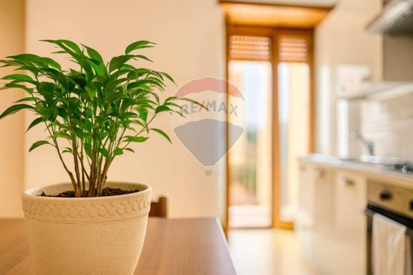 appartamento in vendita a Colleferro