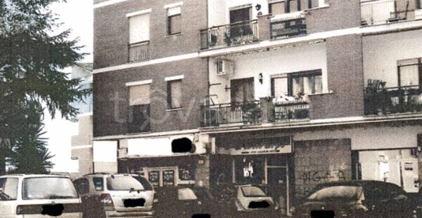 negozio in vendita a Colleferro