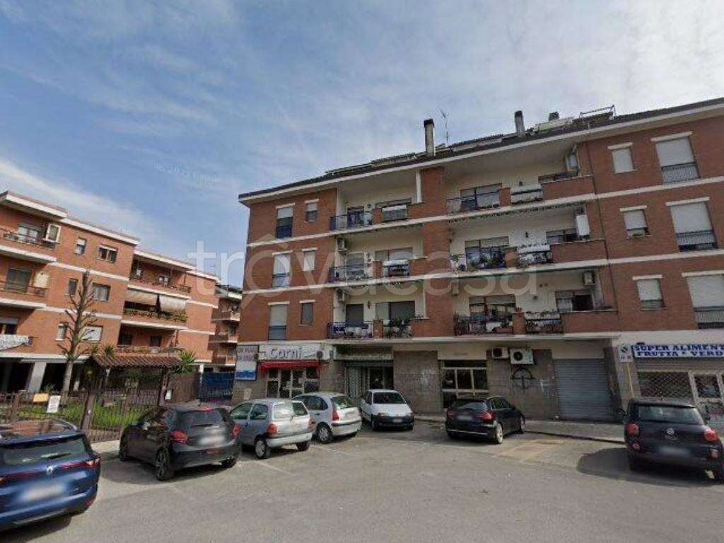 negozio in vendita a Colleferro