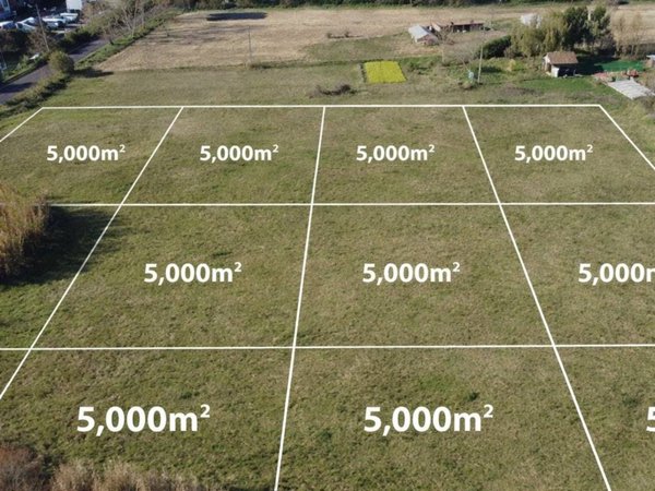 terreno agricolo in vendita a Colleferro